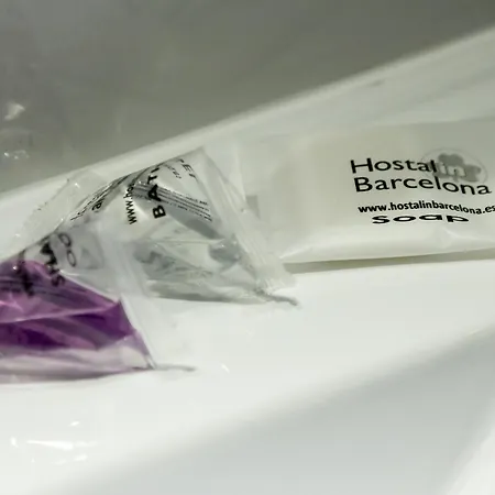 Guest house Hostalin Barcelona Passeig De Gracia Barcelona